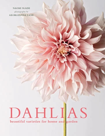 DAHLIAS COFFEE TABLE BOOK