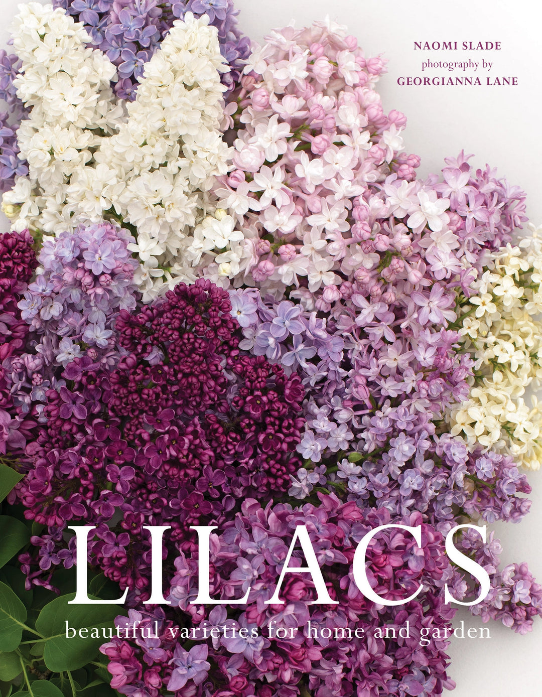 LILACS COFFEE TABLE BOOK